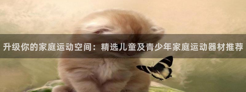 征途国际平台假的吗是真的吗:升级你的家庭运动空间:精选儿童及