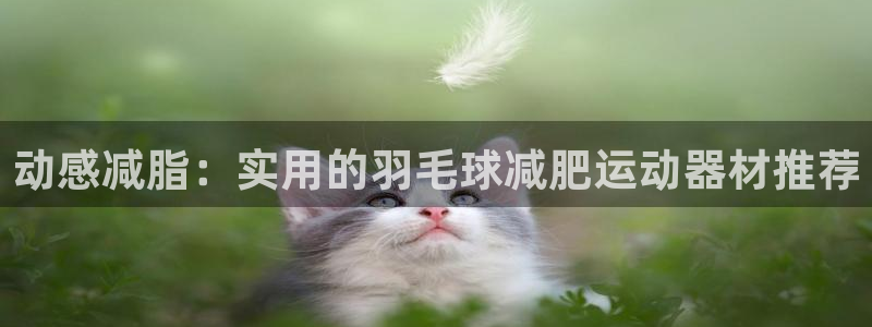 征途国际开户:动感减脂:实用的羽毛球减肥运动器材推荐