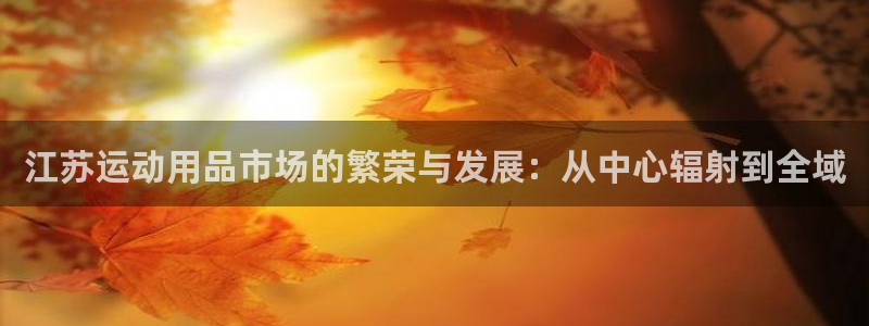 征途国际联系电话:江苏运动用品市场的繁荣与发展:从中心辐射到