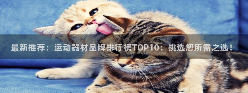 征途国际联系电话:最新推荐:运动器材品牌排行榜TOP10:挑